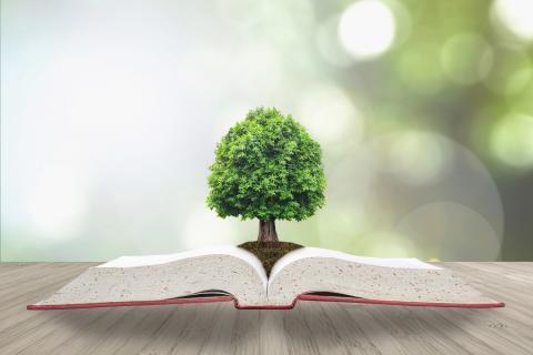 istock-975627534